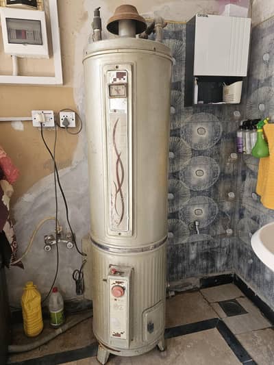 selling 60L dual gysear