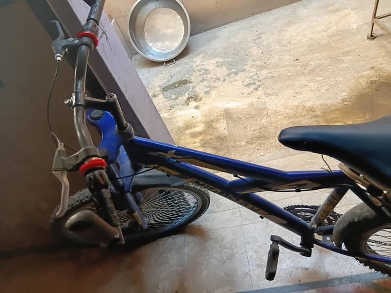 Morgan cycle 0