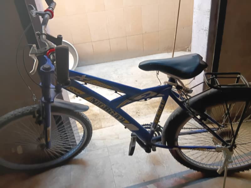 Morgan cycle 1