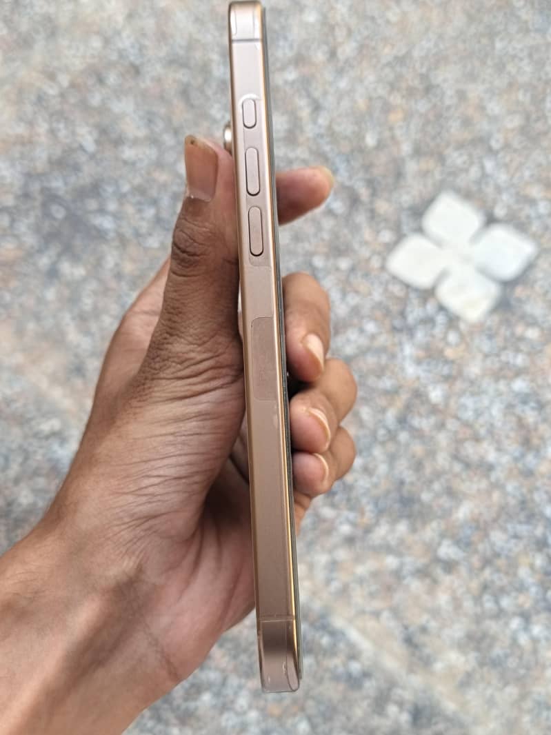 Apple iPhone 16 Pro Max 1