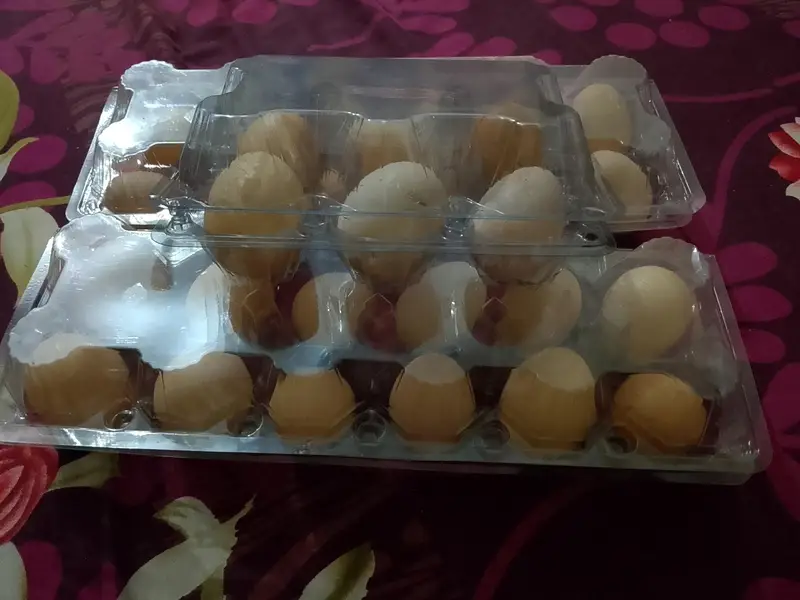 fresh eggs / taza anday — photo 2