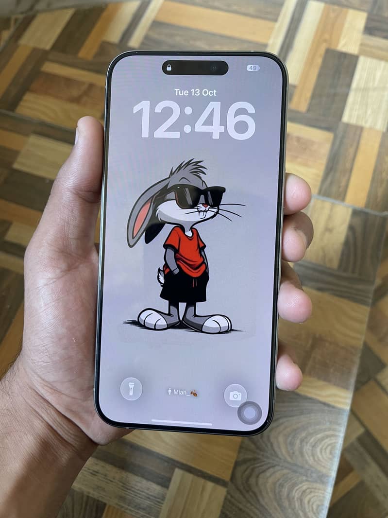 Apple iPhone 15 Pro Max 1