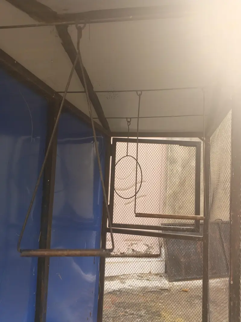 parrot Cage — photo 3