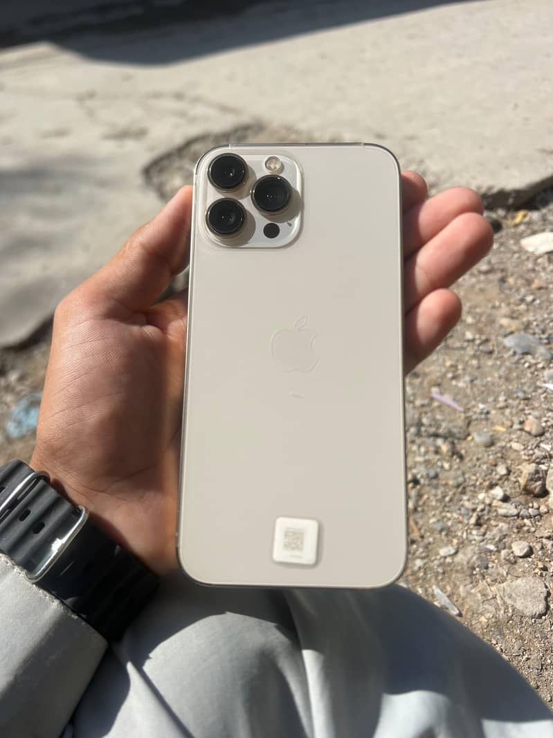 Apple iPhone 13 Pro Max 0