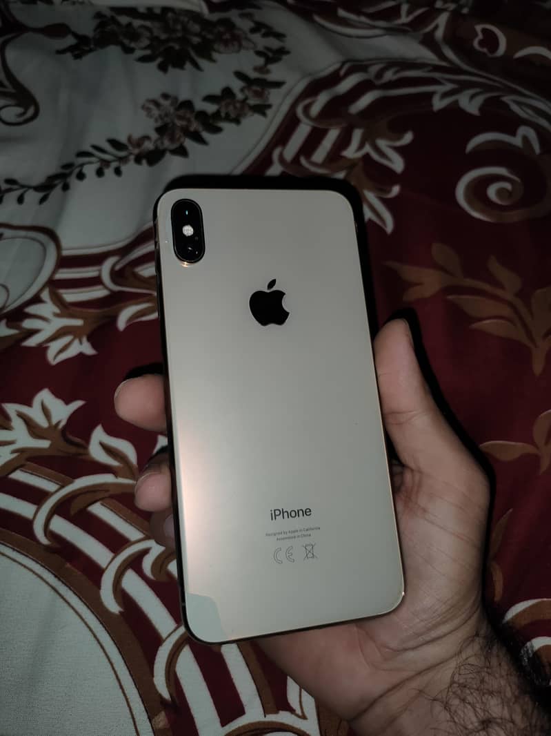 Apple iPhone XS Max 10