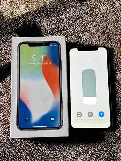 Apple iPhone X