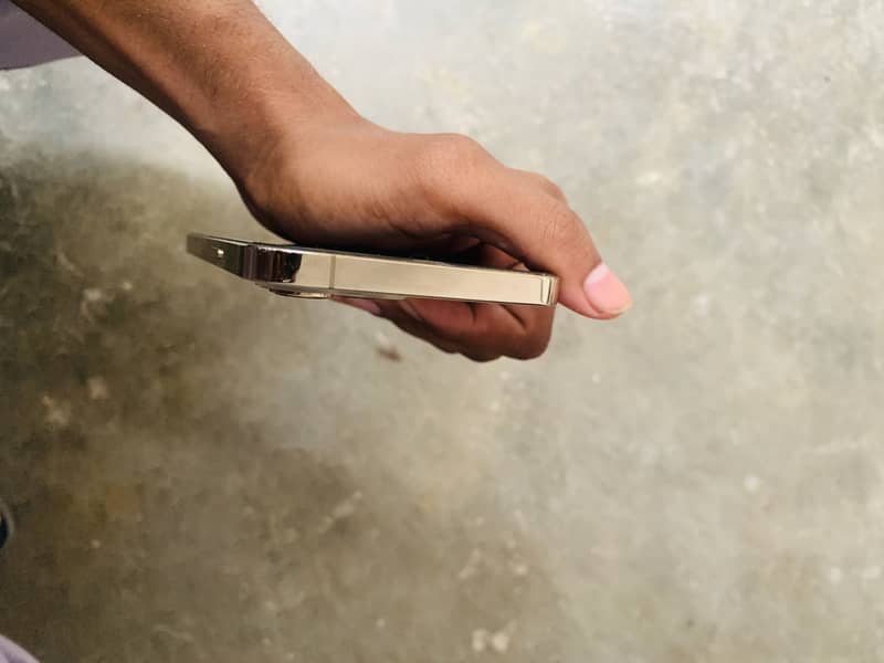 Apple iPhone 12 Pro Max 1