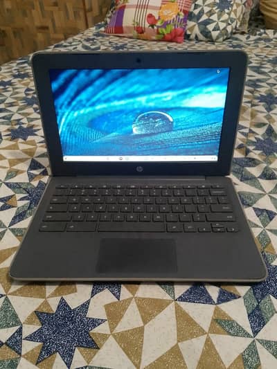 hp chrome book