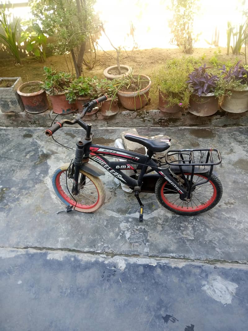 bicycle 2