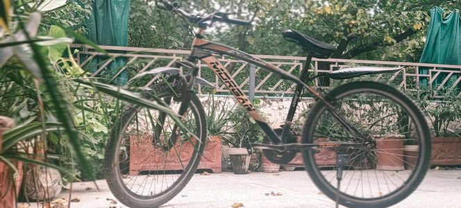26 inch Morgan bicycle