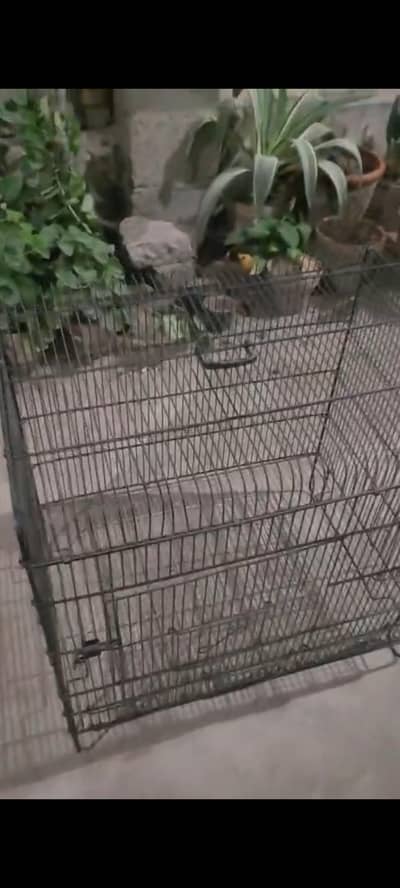 iron cage for sell in good condition