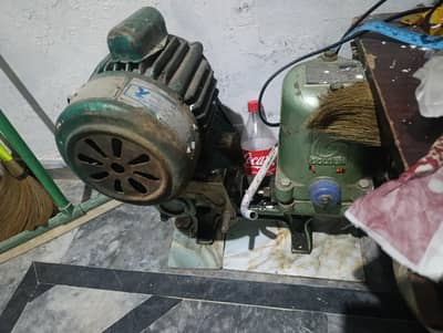 golden donkey pump