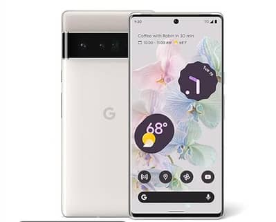 Google Pixel 6 Pro