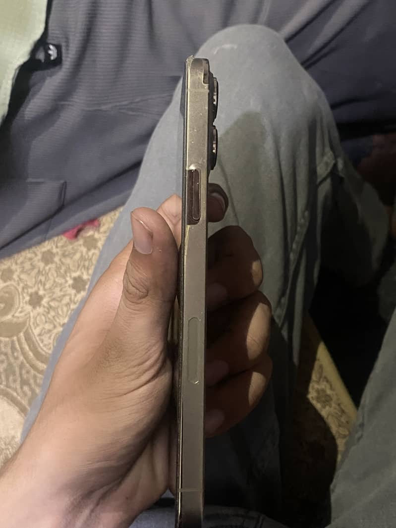 Apple iPhone 13 Pro Max 1