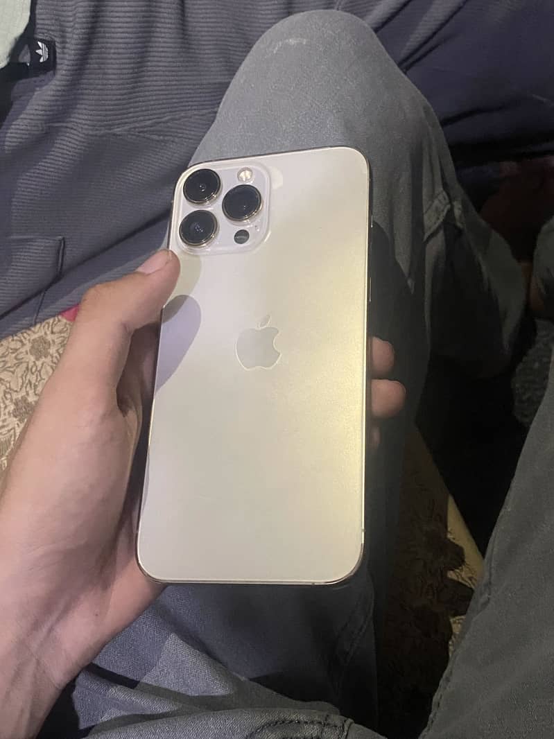 Apple iPhone 13 Pro Max 2