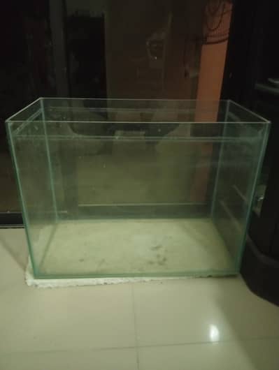 aquarium with accessories