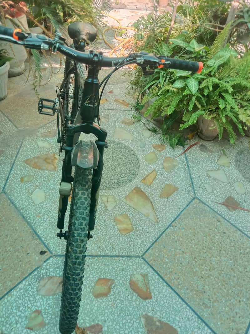 cycle 2