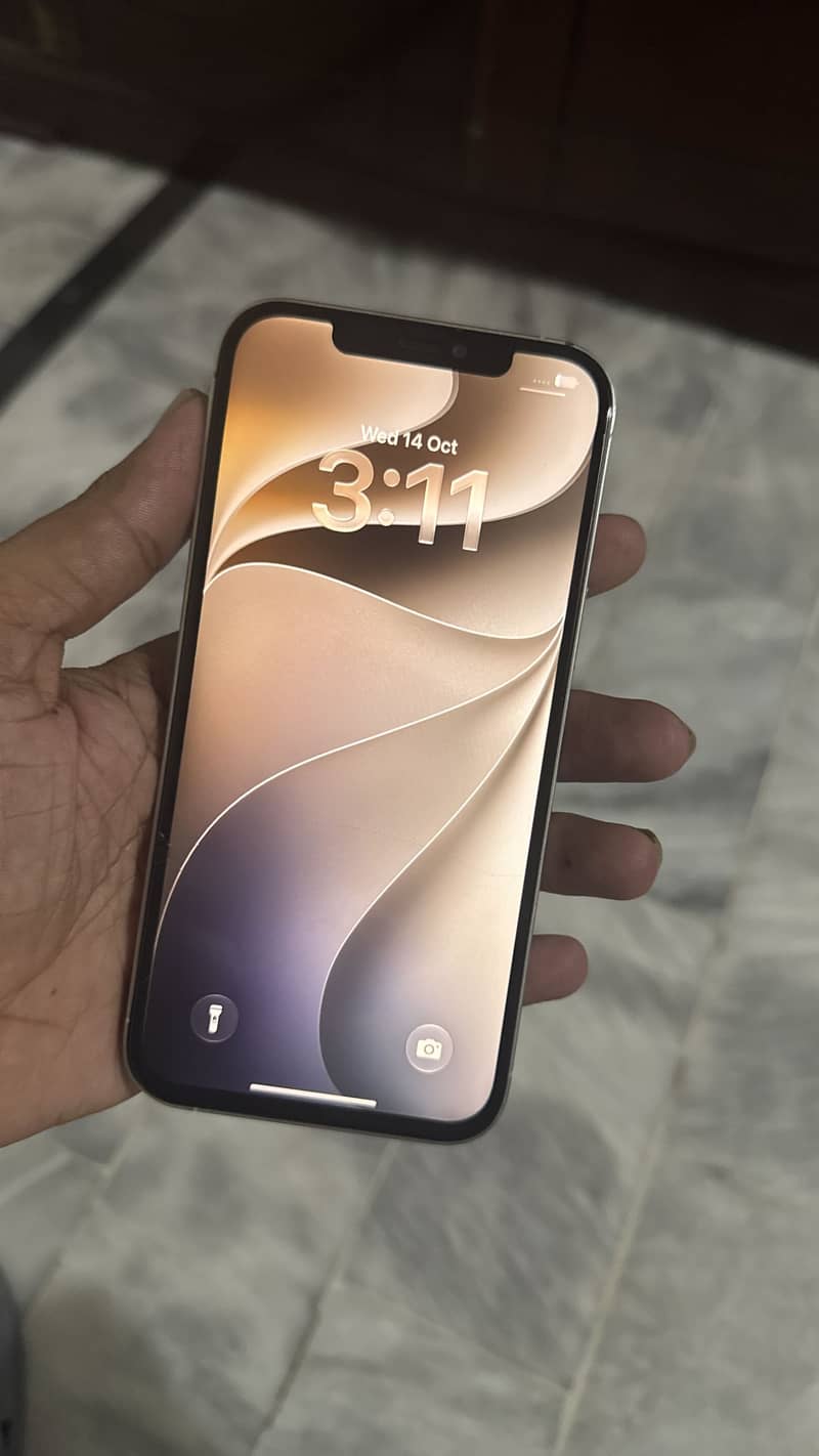Apple iPhone 12 Pro Max 6
