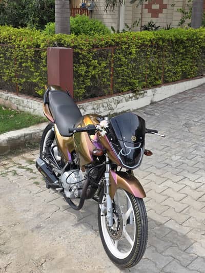 yamaha ybr japanies model 20216