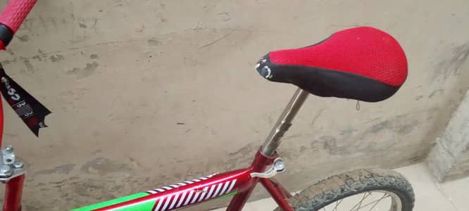 best cycle