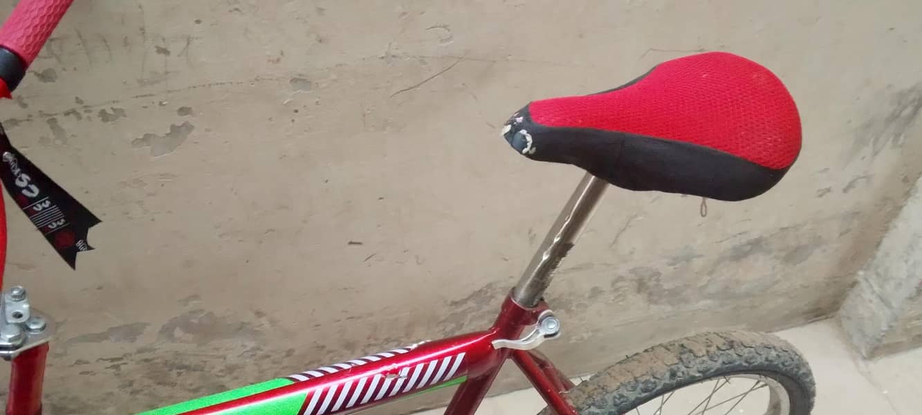 best cycle 0
