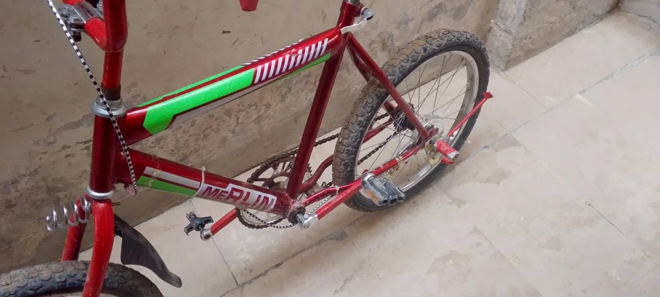 best cycle 1
