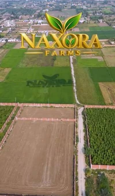 BEDIAN ROAD 4 KANAL LAND FOR SALE