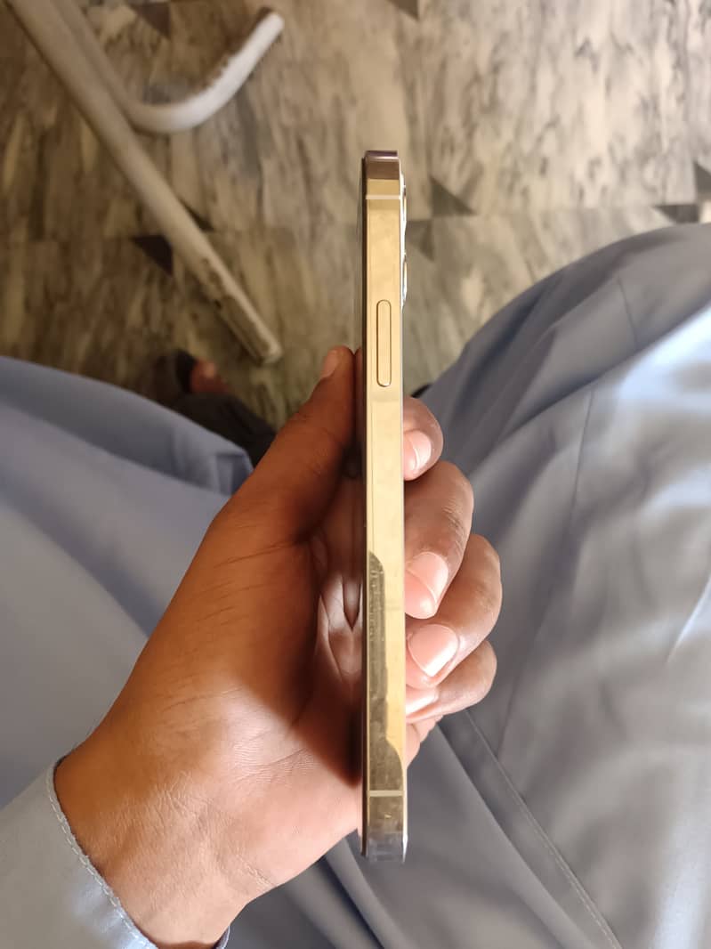 Apple iPhone 12 Pro 1