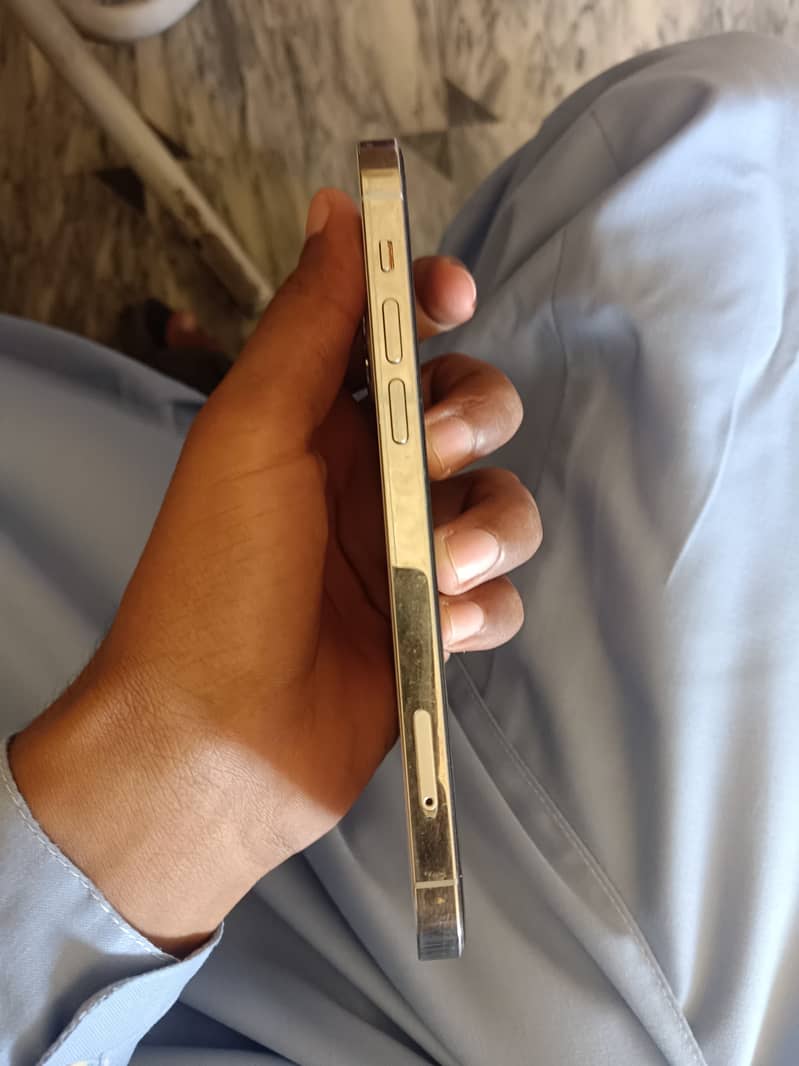 Apple iPhone 12 Pro 3
