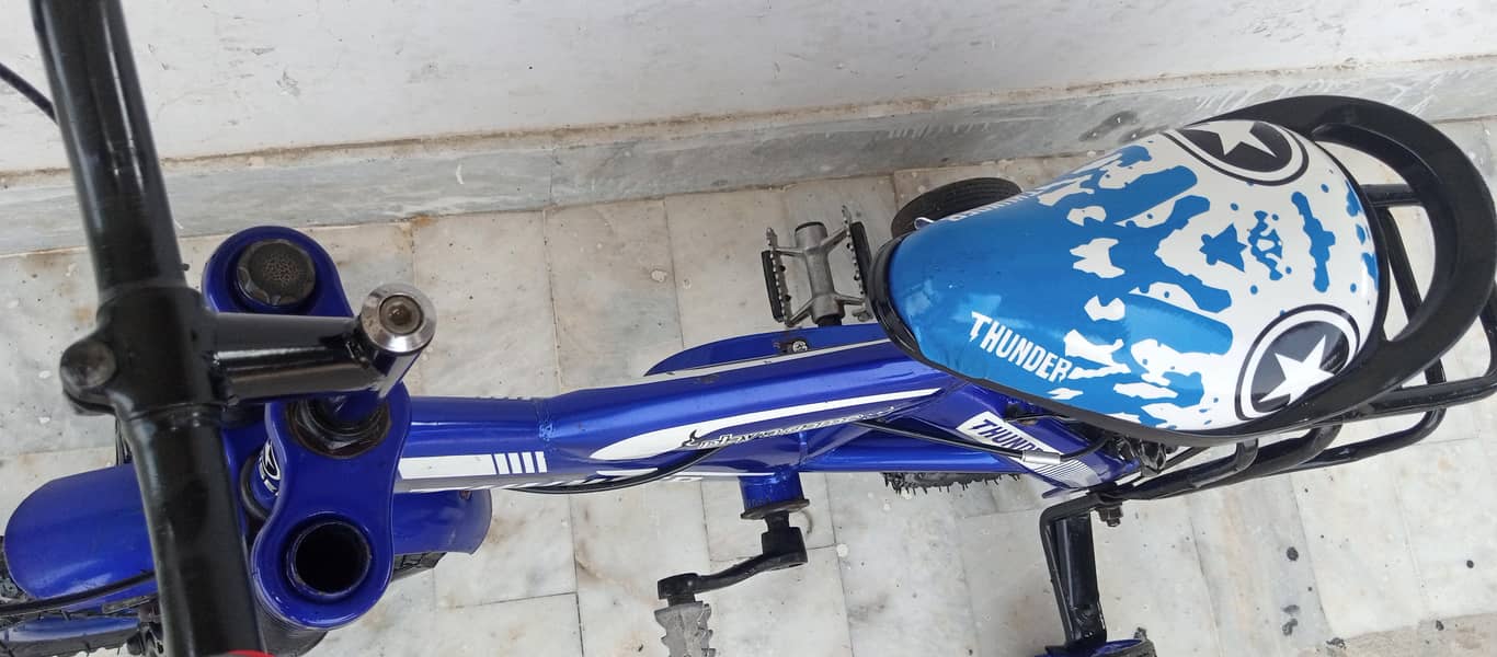 imported thunder bicycle 4