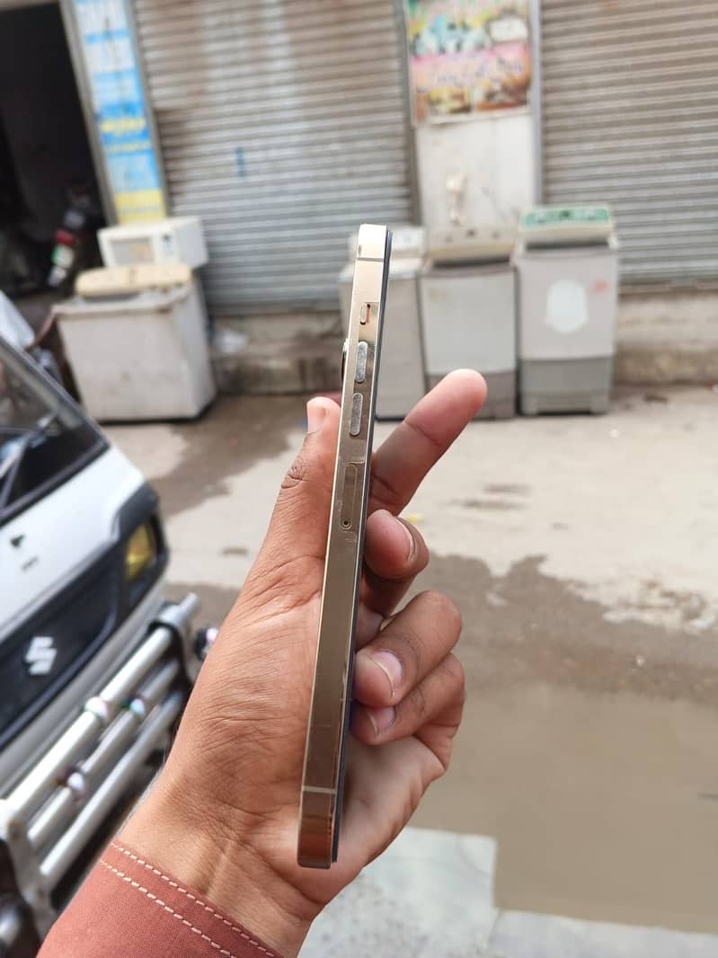 Apple iPhone 13 Pro Max 1