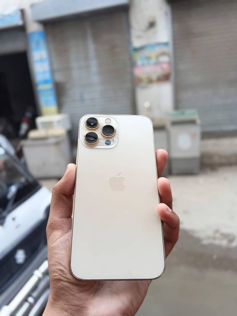 Apple iPhone 13 Pro Max 2