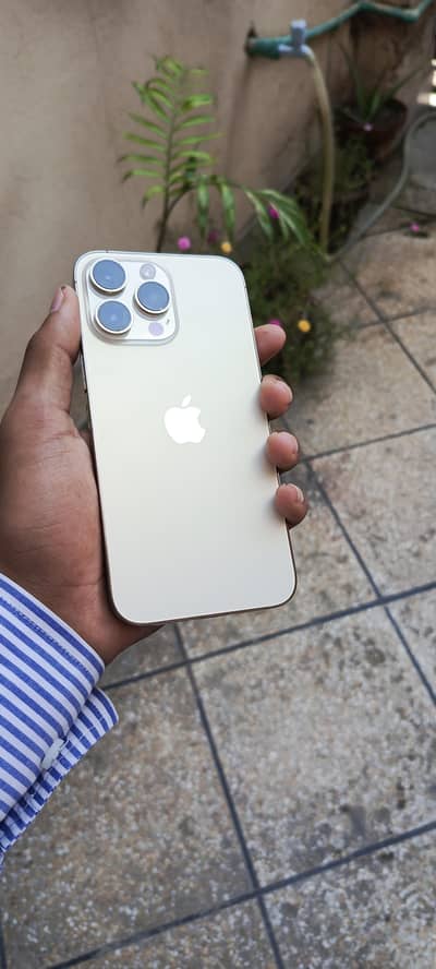 Apple iPhone 14 Pro Max