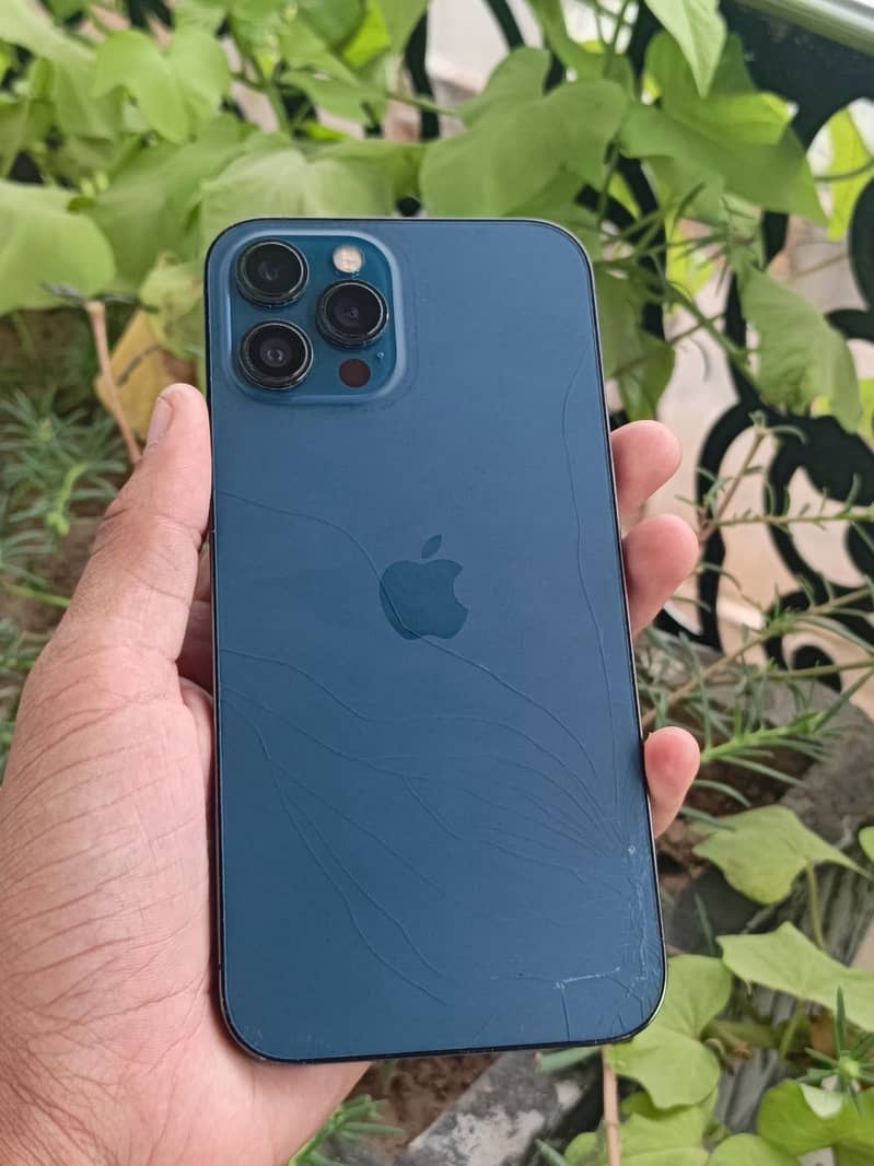 Apple iPhone 12 Pro Max 0