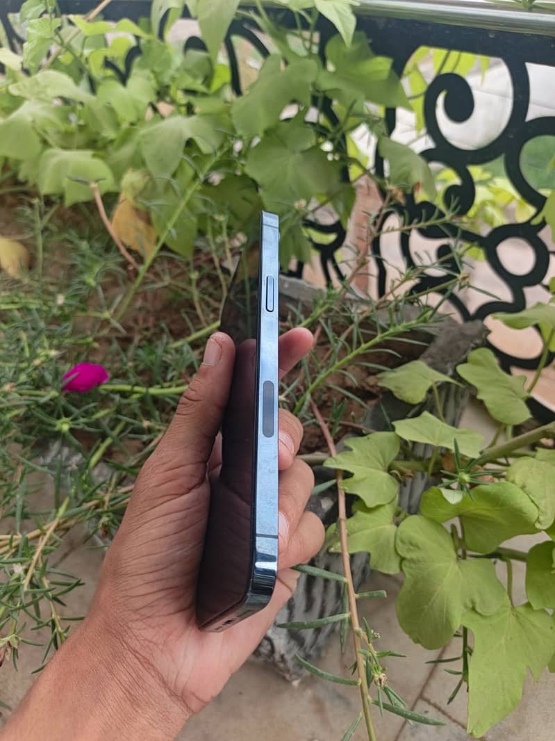 Apple iPhone 12 Pro Max 2