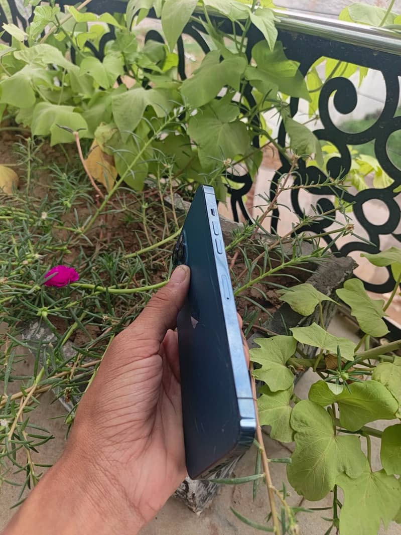 Apple iPhone 12 Pro Max 3