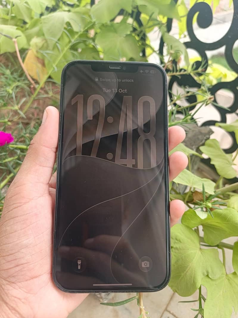 Apple iPhone 12 Pro Max 5