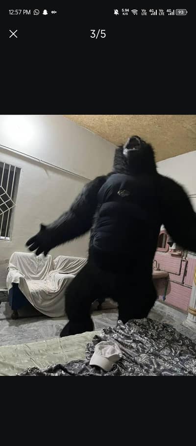 Giant Gorilla Costume for Sale – Black Furry Suit