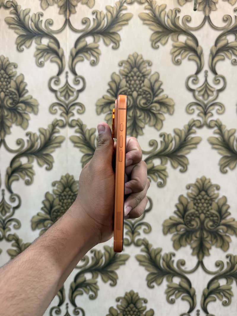 Apple iPhone 17 Pro Max 2