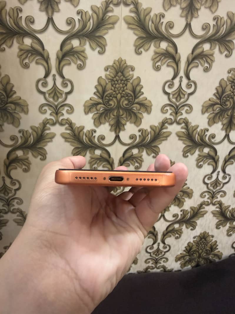 Apple iPhone 17 Pro Max 3