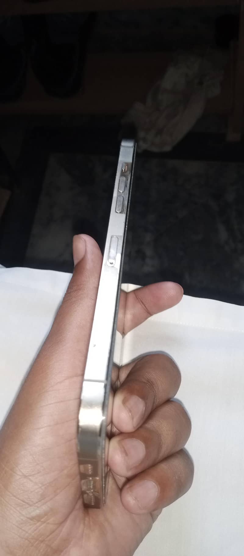 Apple iPhone 12 Pro Max 1