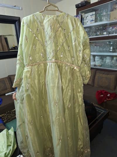 Beautiful Luxury Light Green Embroidered Maxi