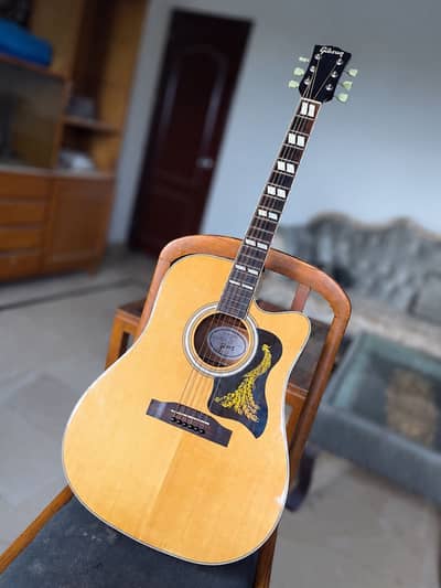 Semi Acoustic Guitar - Hummingbird Style