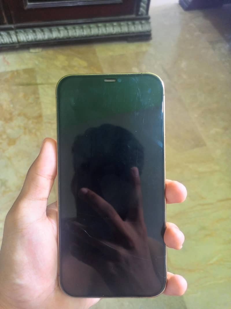 Apple iPhone 12 Pro Max 0