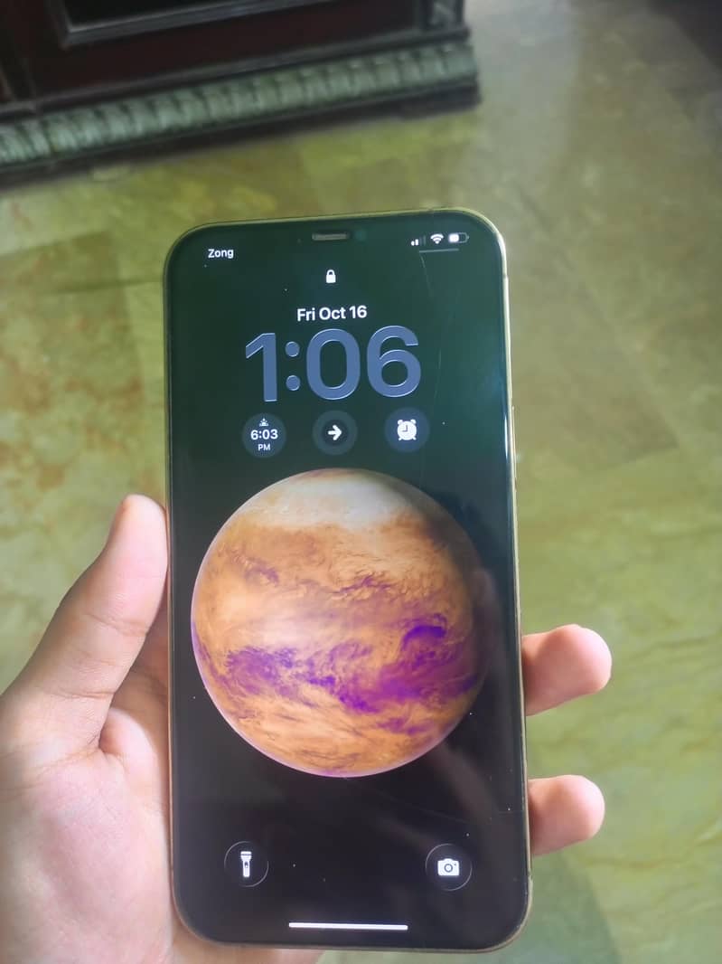 Apple iPhone 12 Pro Max 1