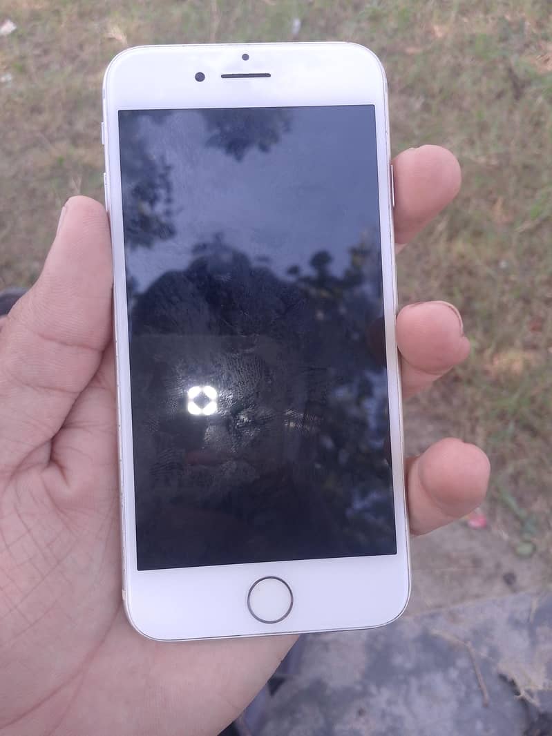 Apple iPhone 7 1