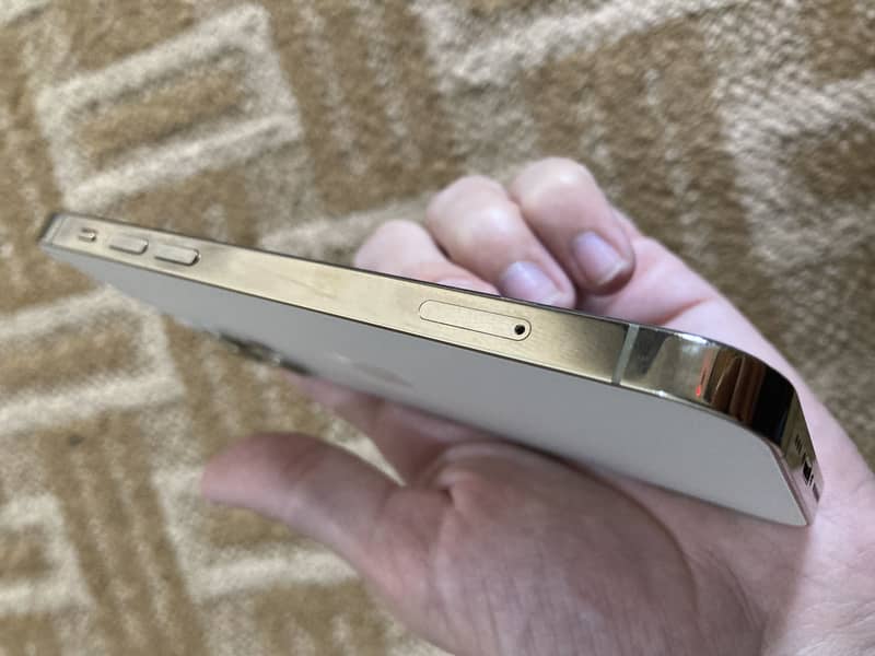 12 pro 4