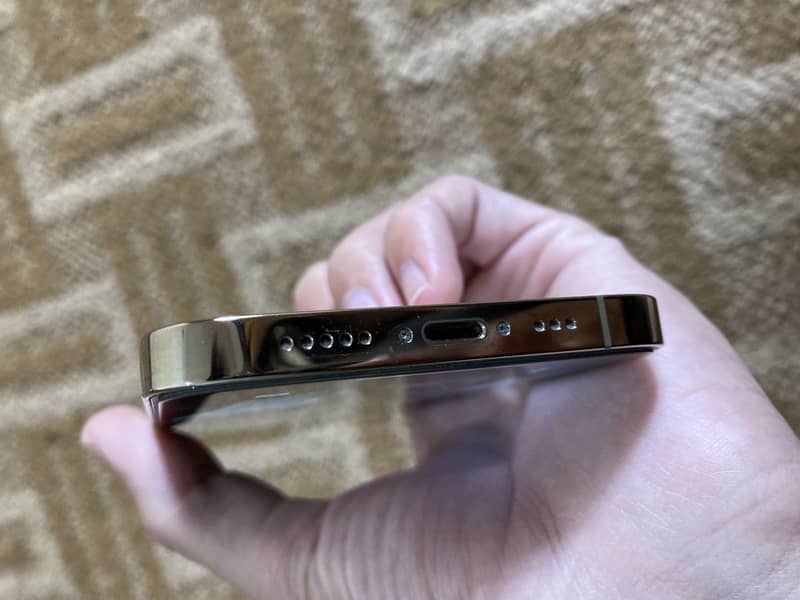 12 pro 6