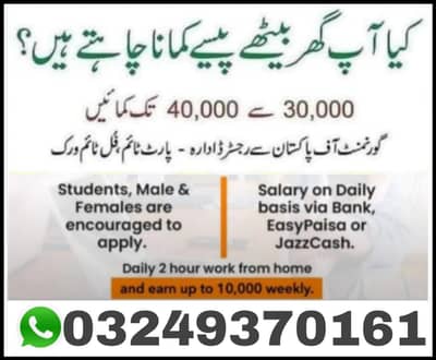 Home-Based Online Jobs Typing Data Entry  Teaching