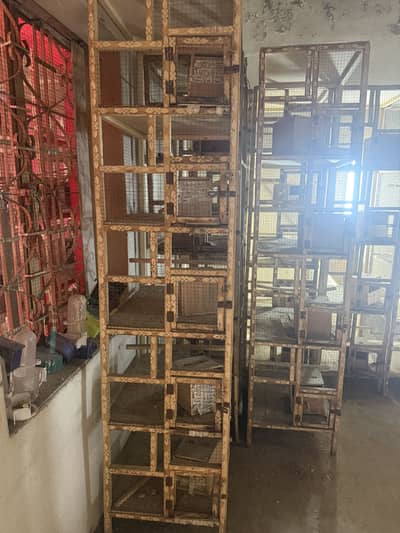 Wooden 5 Portion Bird Breeding Cage With Box - Lahore